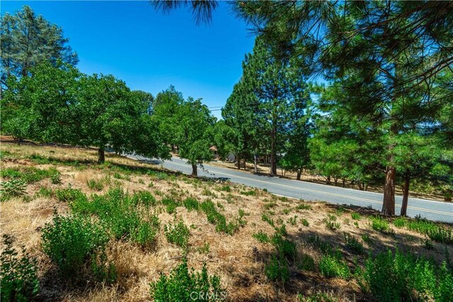 3126 Edgewood Dr, Kelseyville, CA 95451 - photo 54