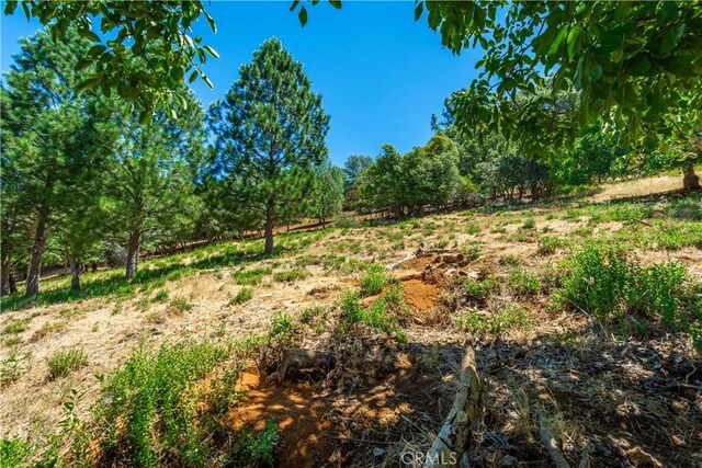 3126 Edgewood Dr, Kelseyville, CA 95451 - photo 71