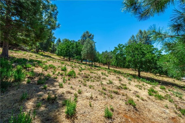 3126 Edgewood Dr, Kelseyville, CA 95451 - photo 51