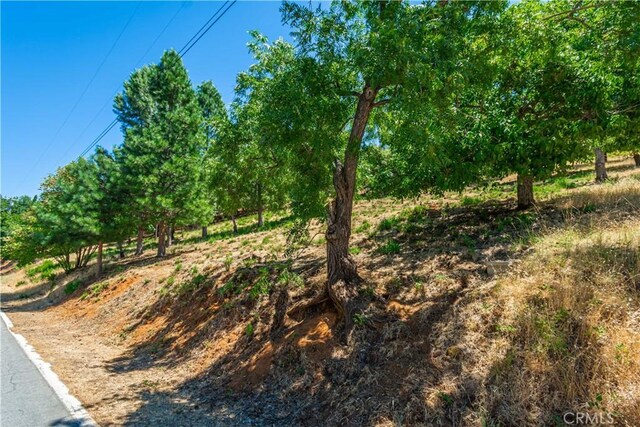 3126 Edgewood Dr, Kelseyville, CA 95451 - photo 75