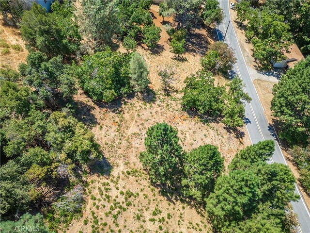 3126 Edgewood Dr, Kelseyville, CA 95451 - photo 37