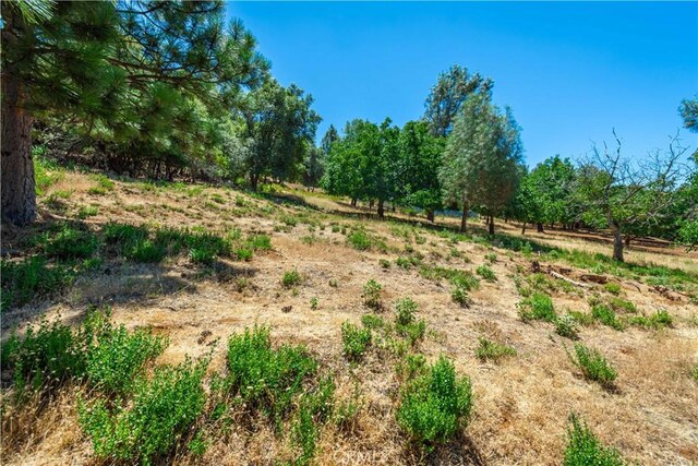 3126 Edgewood Dr, Kelseyville, CA 95451 - photo 52