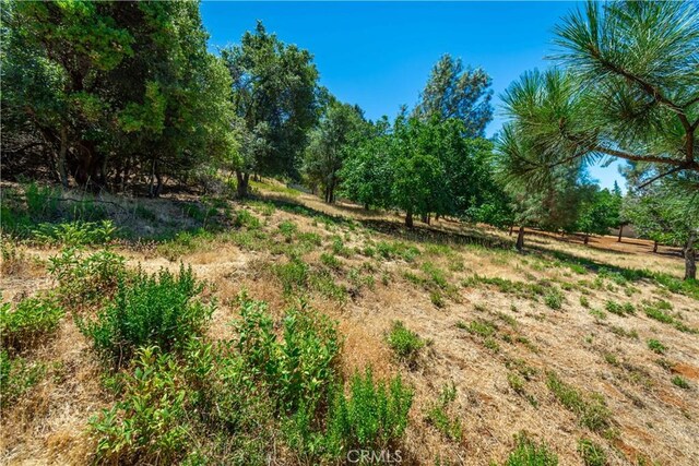 3126 Edgewood Dr, Kelseyville, CA 95451 - photo 55