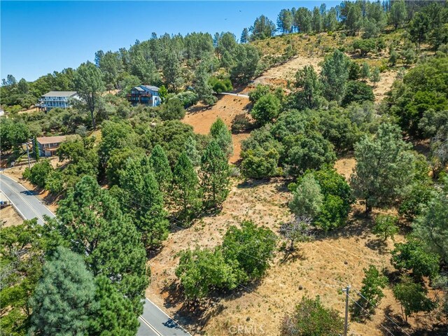 3126 Edgewood Dr, Kelseyville, CA 95451 - photo 40