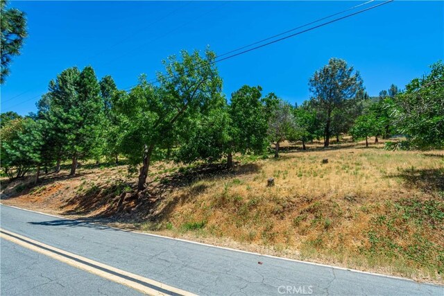 3126 Edgewood Dr, Kelseyville, CA 95451 - photo 43