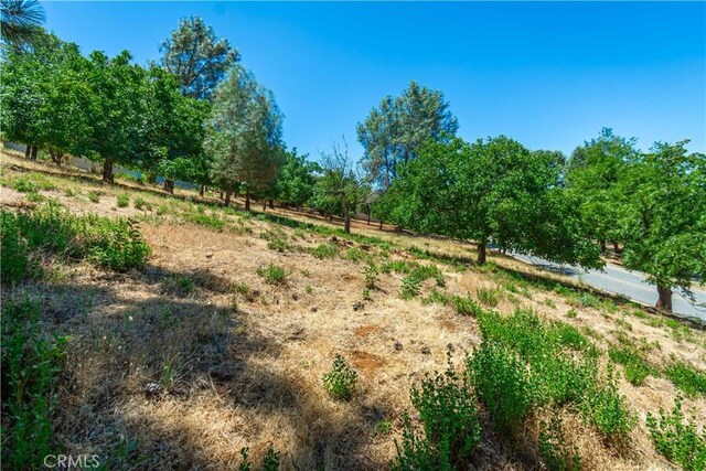 3126 Edgewood Dr, Kelseyville, CA 95451 - photo 53