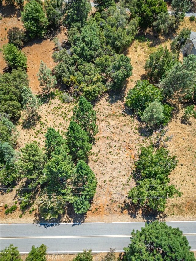 3126 Edgewood Dr, Kelseyville, CA 95451 - photo 28