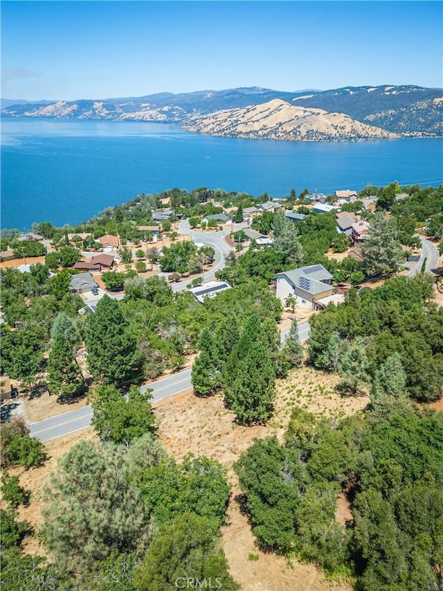 3126 Edgewood Dr, Kelseyville, CA 95451 - photo 11