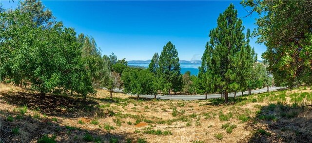 3126 Edgewood Dr, Kelseyville, CA 95451 - photo 58