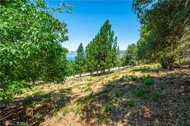 3126 Edgewood Dr, Kelseyville, CA 95451 - photo 63