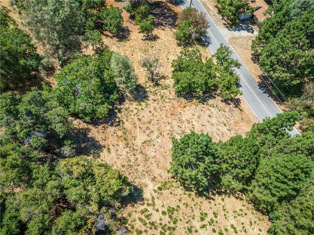 3126 Edgewood Dr, Kelseyville, CA 95451 - photo 36