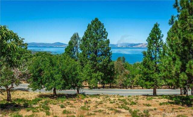 3126 Edgewood Dr, Kelseyville, CA 95451 - photo 59