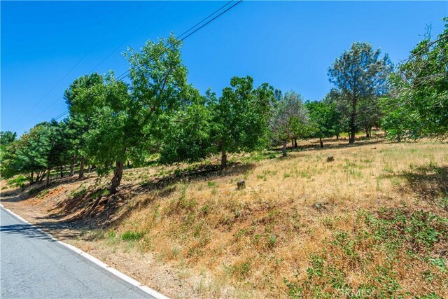 3126 Edgewood Dr, Kelseyville, CA 95451 - photo 42