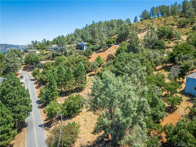 3126 Edgewood Dr, Kelseyville, CA 95451 - photo 39