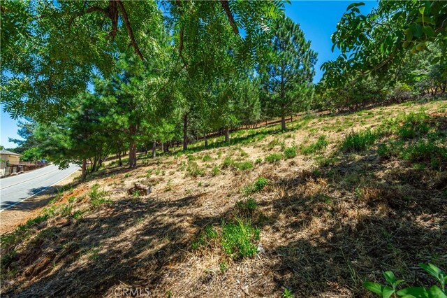 3126 Edgewood Dr, Kelseyville, CA 95451 - photo 72