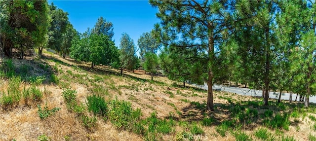 3126 Edgewood Dr, Kelseyville, CA 95451 - photo 56