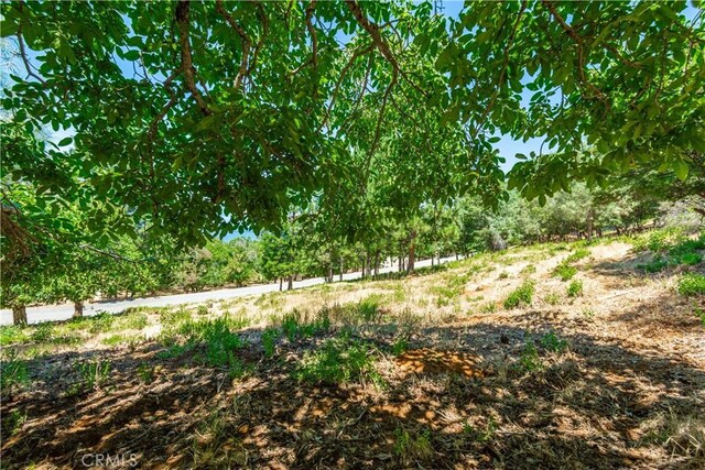 3126 Edgewood Dr, Kelseyville, CA 95451 - photo 64