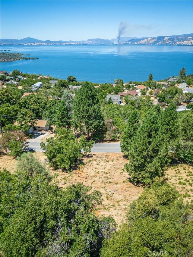 3126 Edgewood Dr, Kelseyville, CA 95451 - photo 35