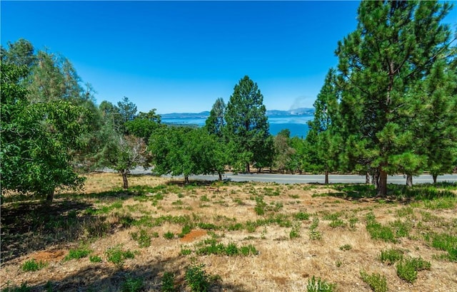 3126 Edgewood Dr, Kelseyville, CA 95451 - photo 57