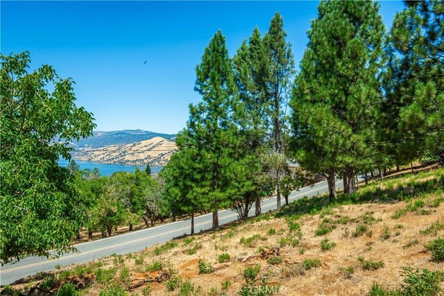3126 Edgewood Dr, Kelseyville, CA 95451 - photo 68