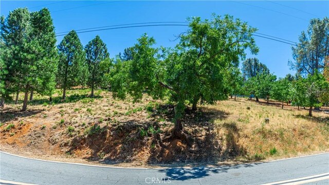 3126 Edgewood Dr, Kelseyville, CA 95451 - photo 44