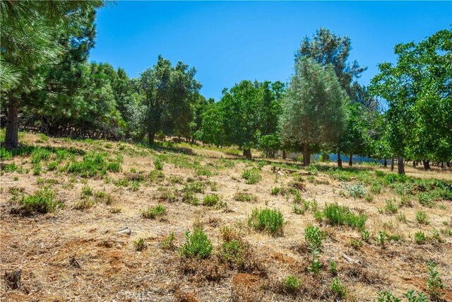 3126 Edgewood Dr, Kelseyville, CA 95451 - photo 50