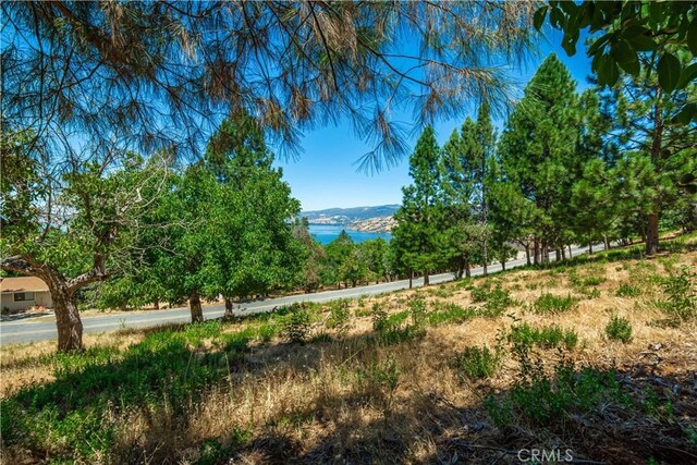 3126 Edgewood Dr, Kelseyville, CA 95451 - photo 66