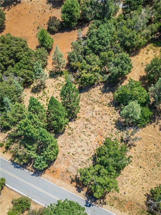 3126 Edgewood Dr, Kelseyville, CA 95451 - photo 29