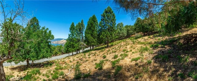 3126 Edgewood Dr, Kelseyville, CA 95451 - photo 67