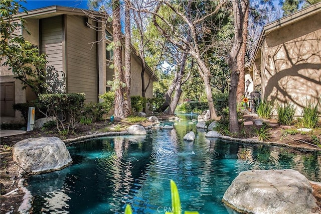 swimming pool with a garden pond