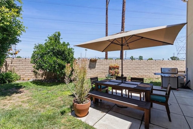 view of yard with a patio and outdoor dining space