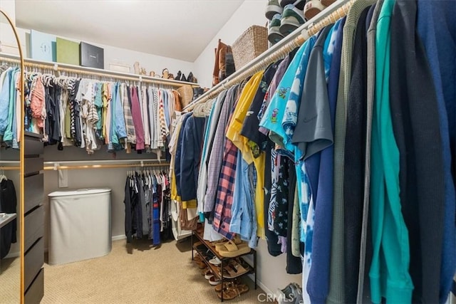 walk in closet with carpet flooring