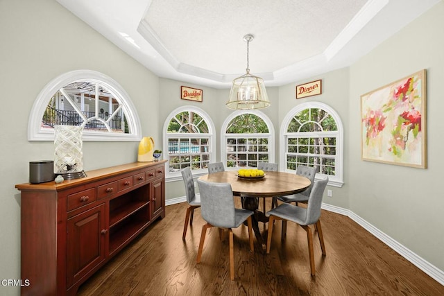 dining area with a tray ceiling, dark wood finished floors, and baseboards