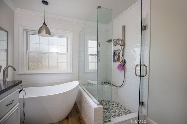 bathroom featuring a freestanding tub, a stall shower, ornamental molding, and vanity