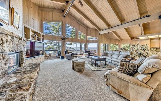 1217 Driftwood Cove Rd, Lake Almanor, CA 96137 - photo 33