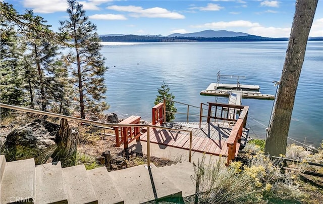 1217 Driftwood Cove Rd, Lake Almanor, CA 96137 - photo 25