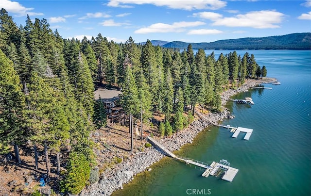 1217 Driftwood Cove Rd, Lake Almanor, CA 96137 - photo 19