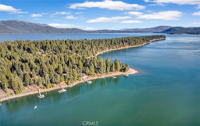 1217 Driftwood Cove Rd, Lake Almanor, CA 96137 - photo 23