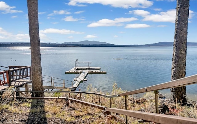 1217 Driftwood Cove Rd, Lake Almanor, CA 96137 - photo 27