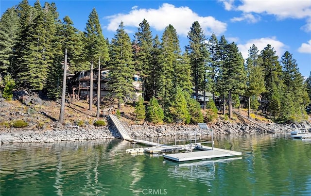 1217 Driftwood Cove Rd, Lake Almanor, CA 96137 - photo 20