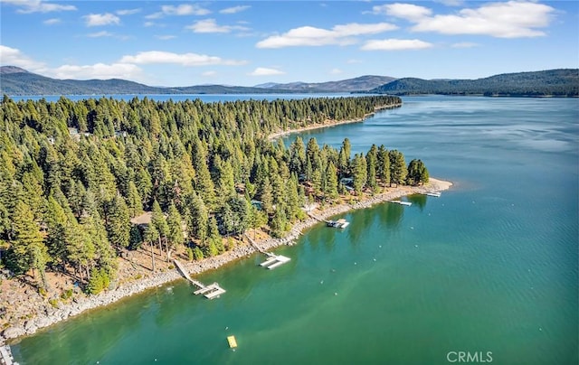 1217 Driftwood Cove Rd, Lake Almanor, CA 96137 - photo 22