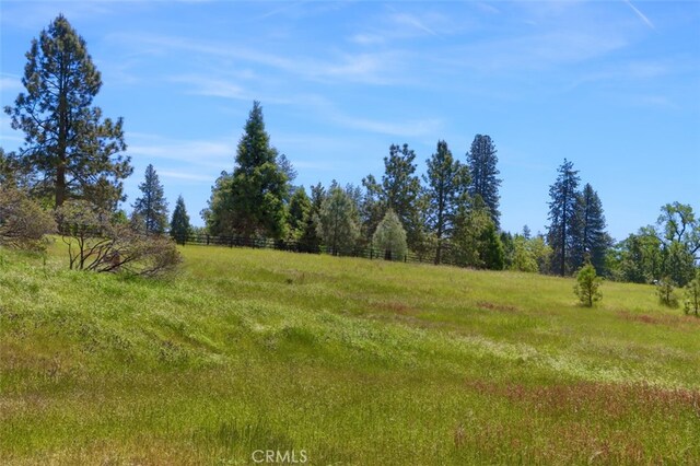 5027 Fox Creek Rd, Mariposa, CA 95338 - photo 42