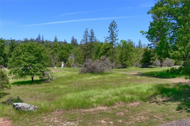 5027 Fox Creek Rd, Mariposa, CA 95338 - photo 43