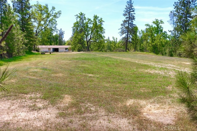 5027 Fox Creek Rd, Mariposa, CA 95338 - view of grassy yard