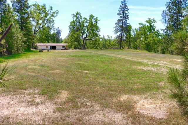 5027 Fox Creek Rd, Mariposa, CA 95338 - photo 54