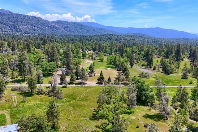 5027 Fox Creek Rd, Mariposa, CA 95338 - photo 59