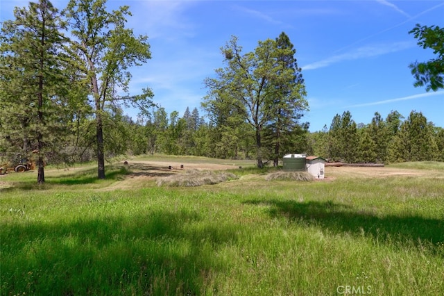 5027 Fox Creek Rd, Mariposa, CA 95338 - photo 55