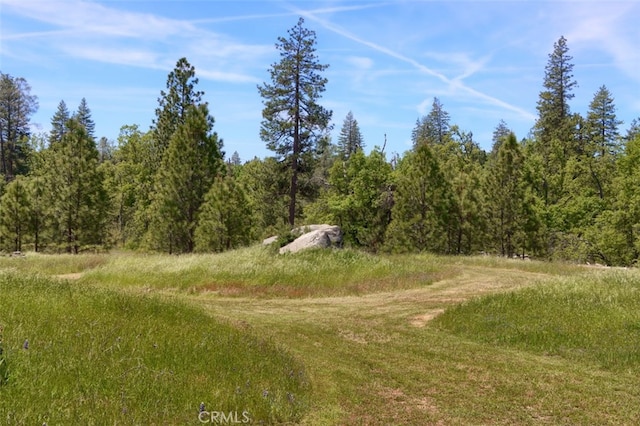 5027 Fox Creek Rd, Mariposa, CA 95338 - view of tree filled area