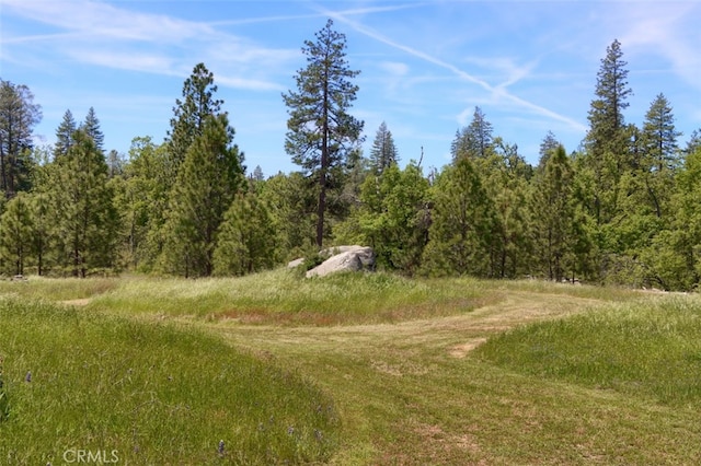 5027 Fox Creek Rd, Mariposa, CA 95338 - photo 56