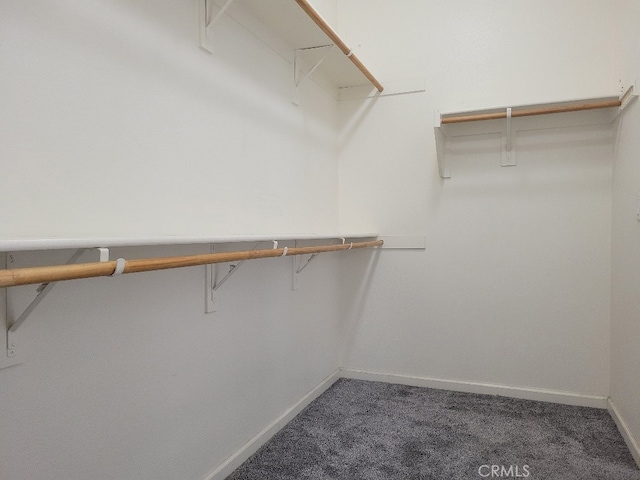 511 Milano Ct, Los Banos, CA 93635 - walk in closet featuring carpet flooring